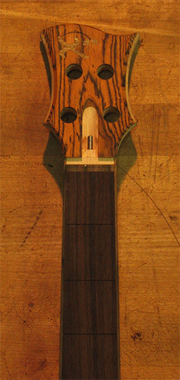 Bocote headstock with Xylem logo inlay