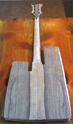 The custom bass from the back with black limba bookmatched top (with centerline) glued on