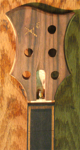Macassar ebony veneered headstock with Xylem logo, tuner holes, truss rod adjustment nut and the ebony/bocote fretboard with ebony binding