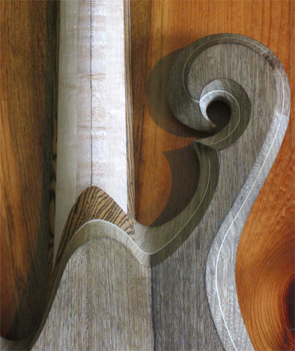 Close up of the back of the custom bass' scroll with maple accent between layers of black limba and bocote neck heel.