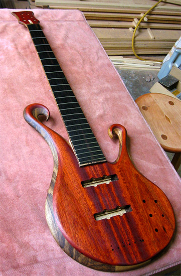Bloodwood 6 string bass with ebony fretboard and two scrolls