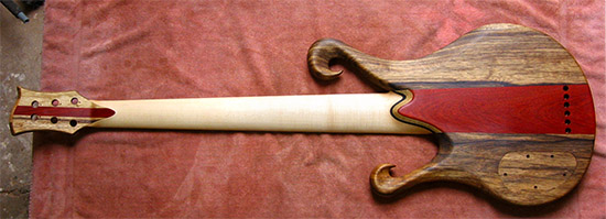 Custom bass guitar with limba body, bloodwood stripe, back