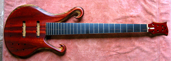 Custom 6 string bass with Jazz bass pickup configuration
