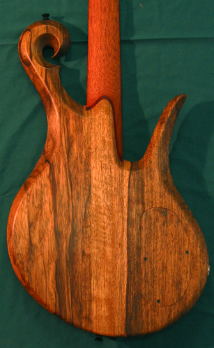 Custom lefty bass from the back with exotic scroll