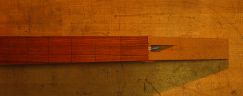 Cocobolo fretboard with mahogany headstock core