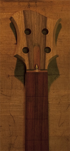 Xylem custom bass neck with limba headstock
