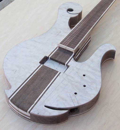 Exotic custom bass with 29 frets, 32" scale