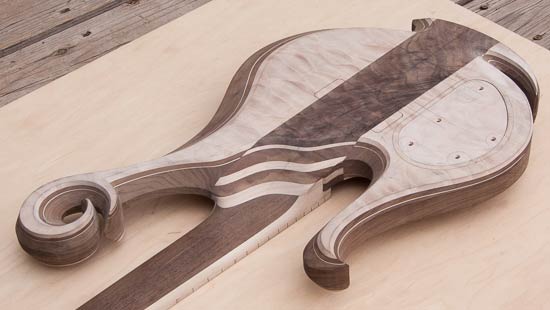 Custom bass with neck-thru design, quilte maple tops