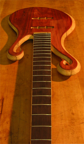 Xylem custom bass with frets in the ebony fretboard