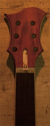 6 string custom bass headstock