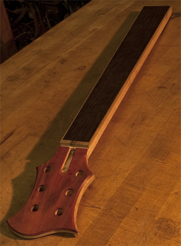 Bass neck with bloodwood headstock and ebony fretboard