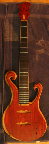 Custom 6 string bass with bloodwood top and oil finish