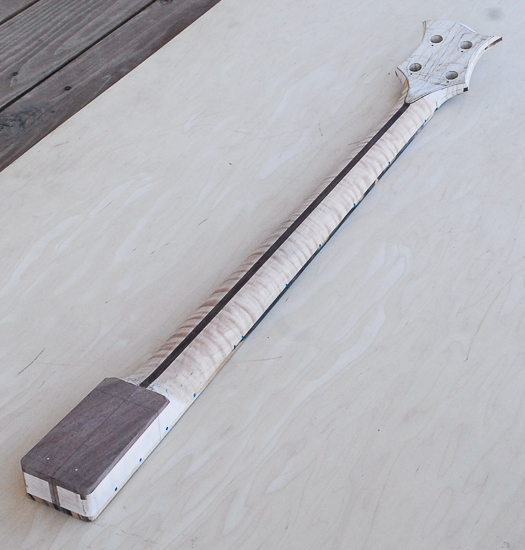 Flamed maple bass neck with walnut neck shim