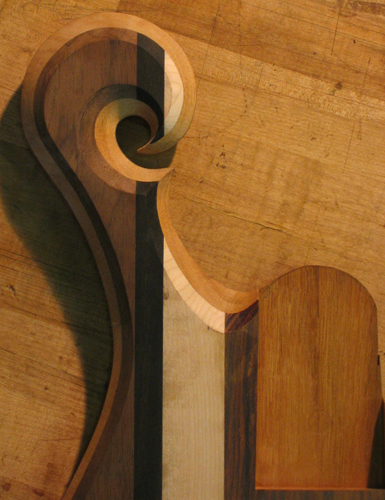 Front of the scroll of a Xylem custom bass with striped top wood