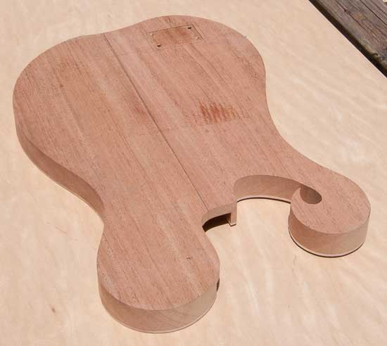 Custom bass body with unique shape