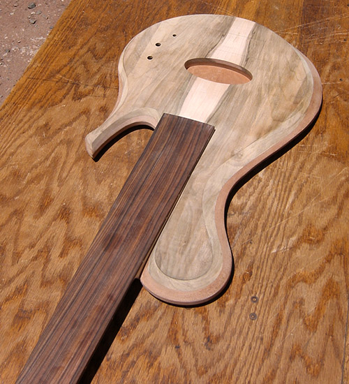Fretless single-cut bass guitar with blank pau ferro fingerboard