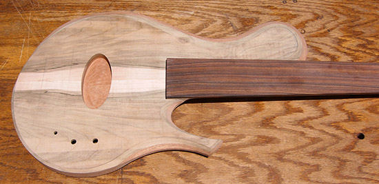 Fretless single-cut bass with blank fingerboard