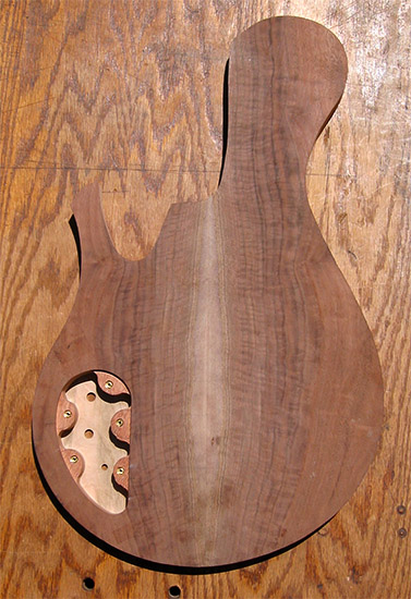 Single-cut bass body with claro walnut top on back