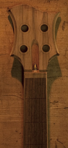 Spalted maple headstock on a Xylem custom bass
