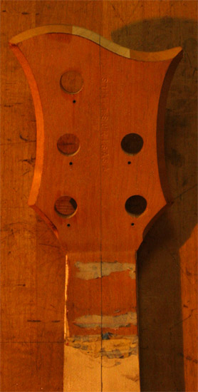 Back of a 5 string bass guitar headstock with mahogany veneer