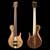 Fretless 5 string bass, single-cut body style