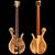 Xylem custom bass with spalted maple top, Rickenbacker neck pickup and Jazz bridge pickup