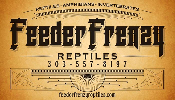 Feeder Frenzy Reptiles, an exotic pet store in Arvada, CO