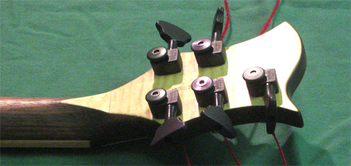 The back of the bass' headstock at an angle showing the flamed maple headstock veneer