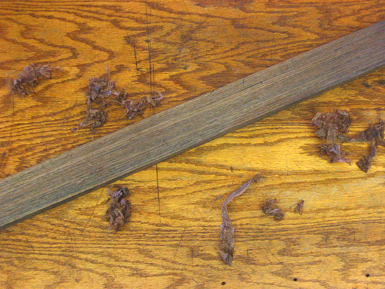 Quartersawn black walnut neck blank
