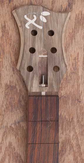 Limba/walnut guitar headstock with maple accent