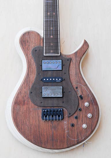 Xylem custom guitar with wenge pickguard, Hipshot bridge