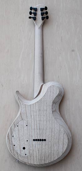 Xylem custom guitar with swamp ash body, maple neck