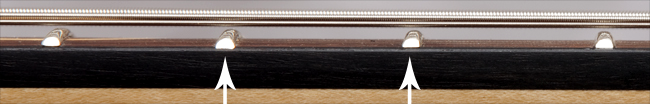 Well-dressed fret ends on a Xylem custom bass